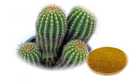 Hoodia gordoni като част от Reduslim