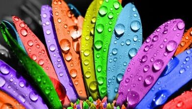 как да отслабнете с диетата с 6 венчелистчета